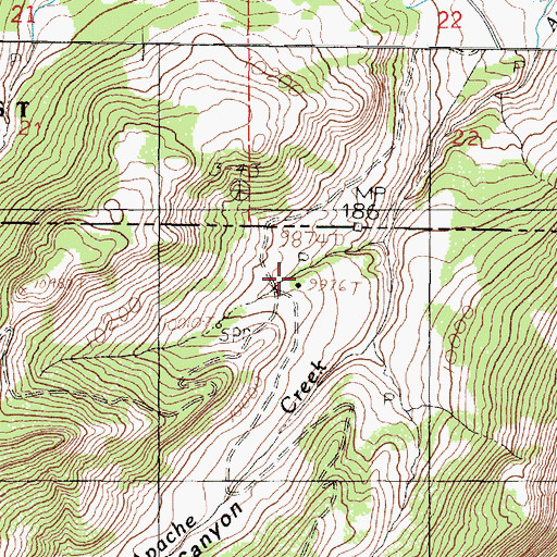 Topographic Map of Apache Forest Service Facility, NM