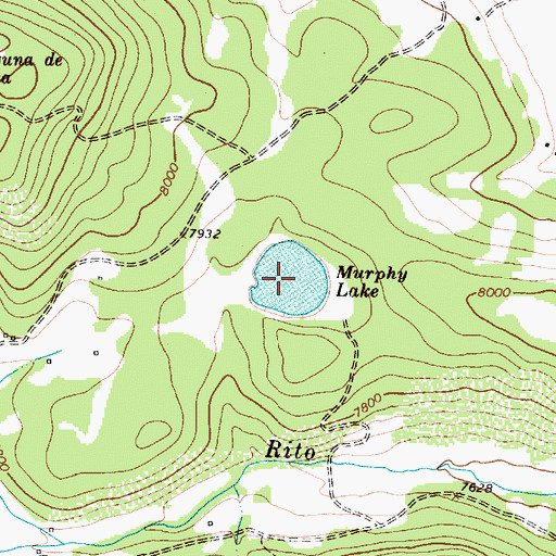 Topographic Map of Morphy Lake State Park, NM