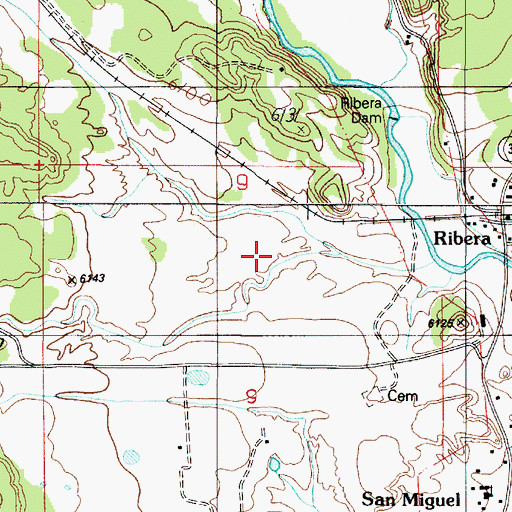 Topographic Map of Flowing Well, NM