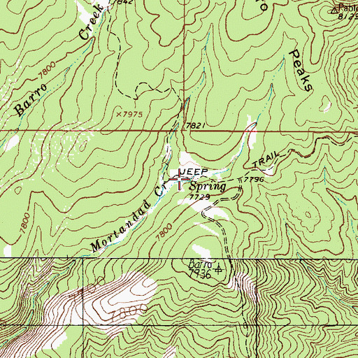 Topographic Map of Mortondad Spring, NM