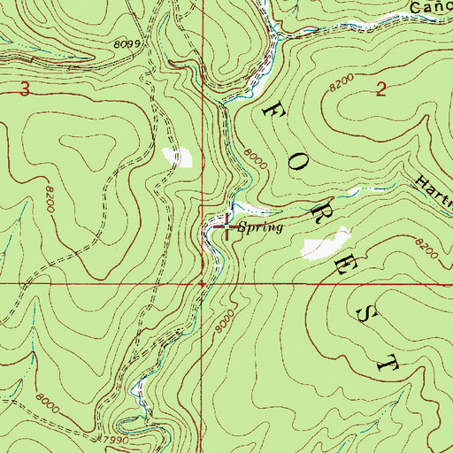 Topographic Map of Apache Spring, NM