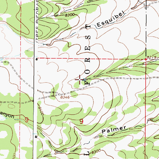 Topographic Map of Palmer Tank, NM