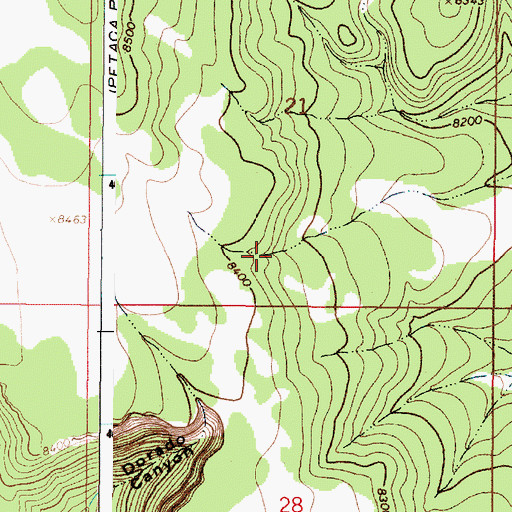 Topographic Map of Cedar Tank, NM