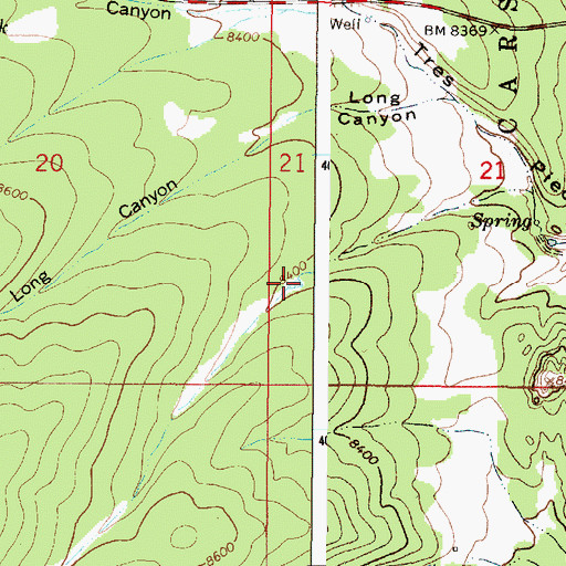 Topographic Map of Carpenter Tank, NM