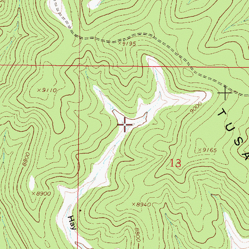 Topographic Map of Spring Tank, NM