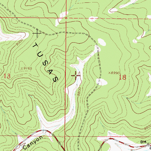 Topographic Map of Road Canyon Tank, NM