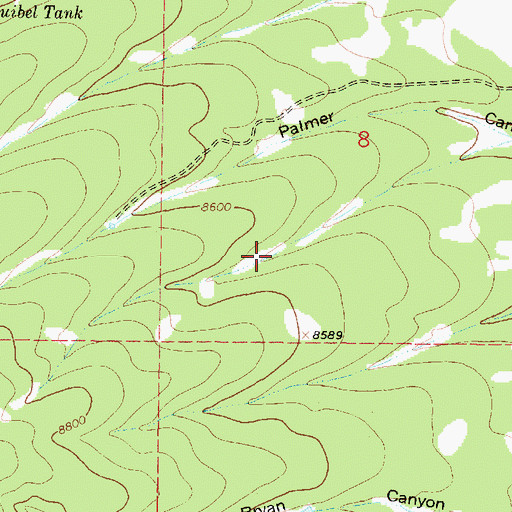 Topographic Map of Pat Tank, NM