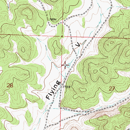 Topographic Map of Lower Tank, NM