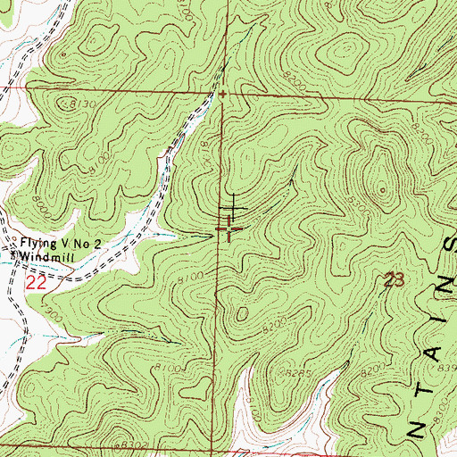 Topographic Map of Turkey Spring, NM