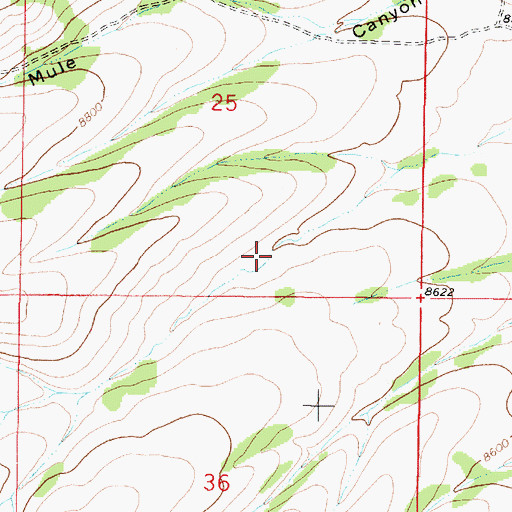 Topographic Map of Royals Tank, NM