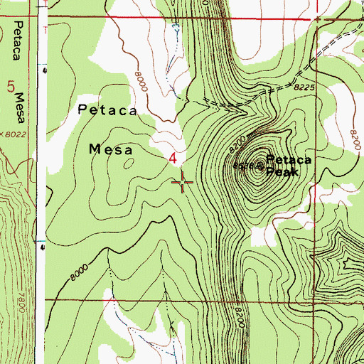 Topographic Map of Petaca Trick Tank, NM