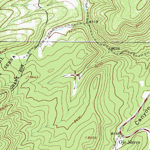 Topographic Map of Rojo Tank, NM