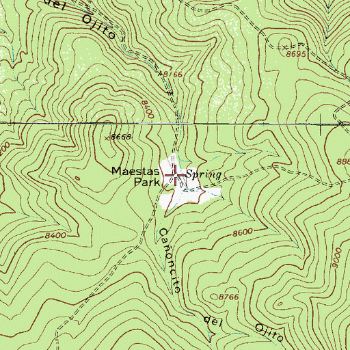 Topographic Map of Maestas Spring, NM