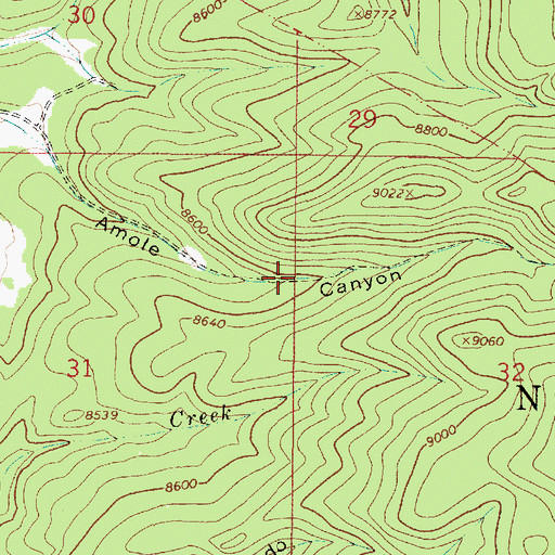 Topographic Map of Comales Sheep Driveway, NM