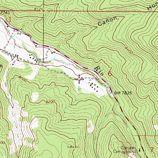 Topographic Map of Camp Summer Life, NM