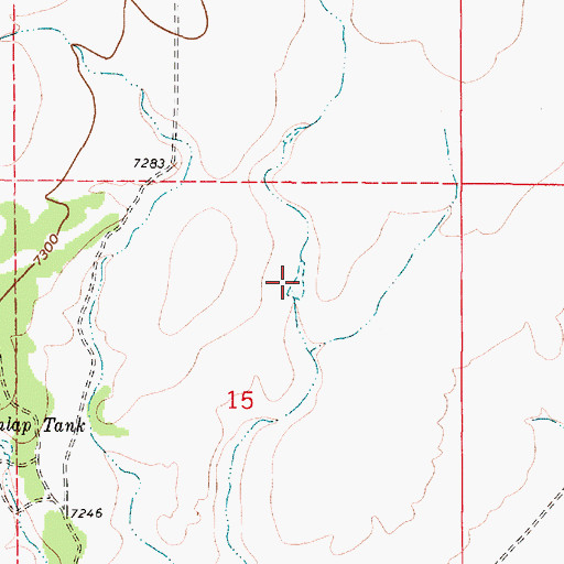 Topographic Map of Borrego Tank, NM