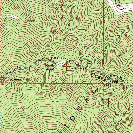Topographic Map of Big Pine Picnic Area, NM