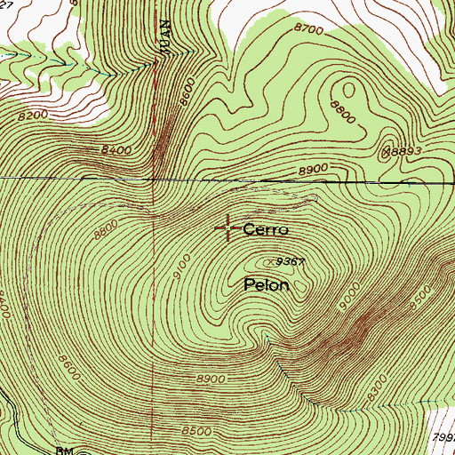 Topographic Map of FAA Electronic Site, NM