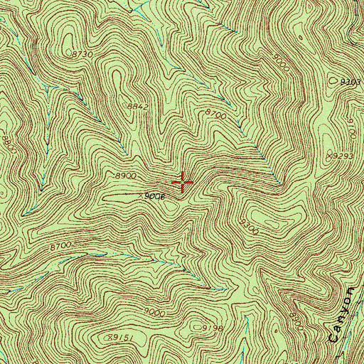 Topographic Map of Eagle Spring, NM