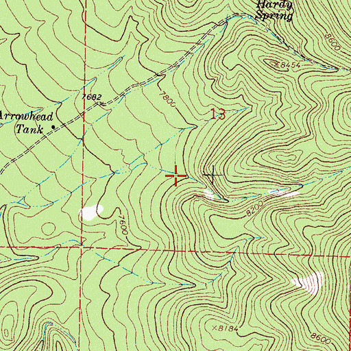 Topographic Map of Martin Spring, NM