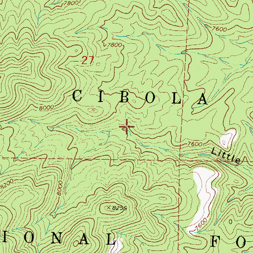 Topographic Map of Little Rosa Spring, NM
