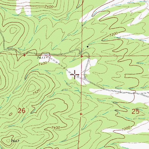 Topographic Map of New Well, NM