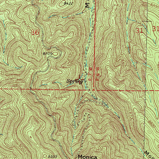 Topographic Map of Switch Spring, NM