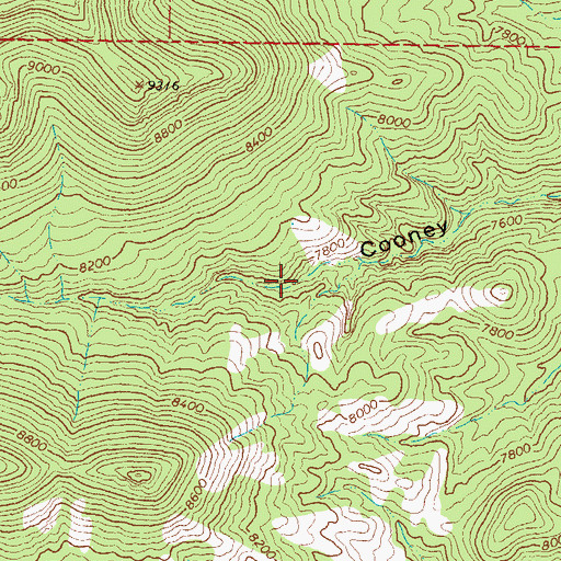 Topographic Map of Cooney Spring, NM