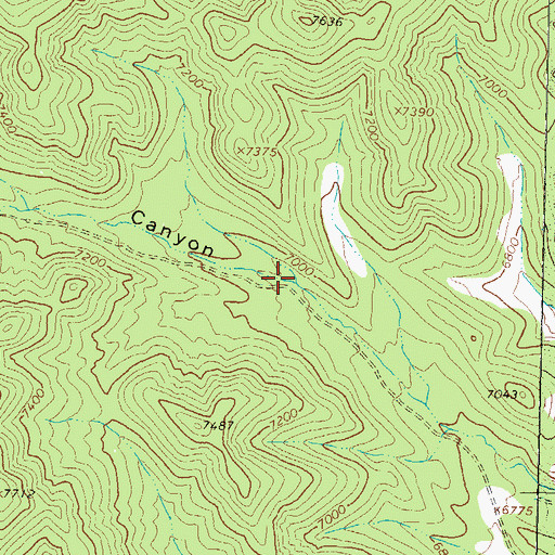 Topographic Map of Whitecap Tank, NM