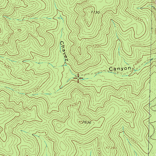 Topographic Map of Big Rosa Tank, NM