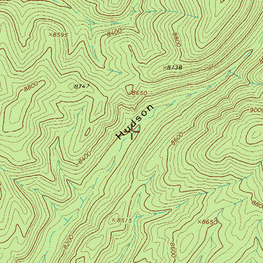 Topographic Map of Hudson Spring, NM