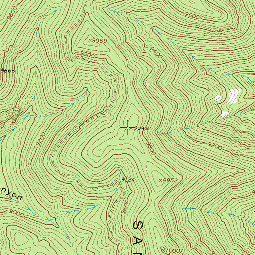 Topographic Map of Tower Peak, NM