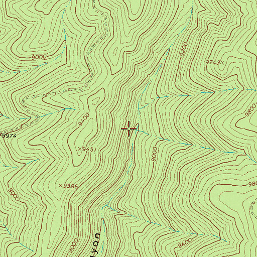 Topographic Map of Trail Spring, NM