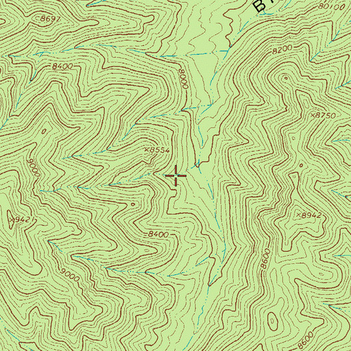 Topographic Map of Dry Spring, NM