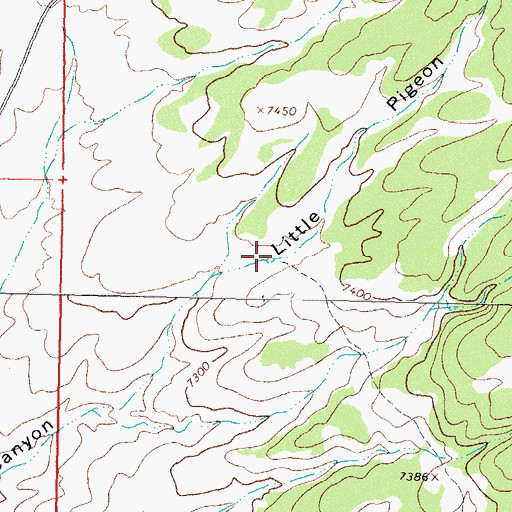 Topographic Map of Pigeon Tank, NM