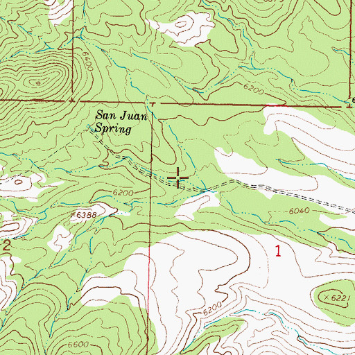 Topographic Map of San Juan Corral, NM