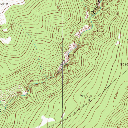 Topographic Map of Iron Gate Recreation Site, NM