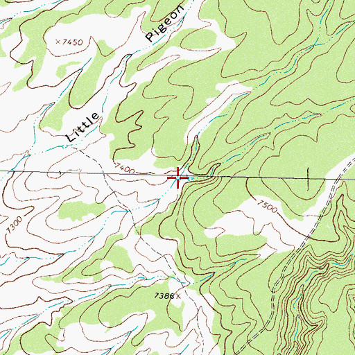 Topographic Map of Upper Pigeon Tank, NM