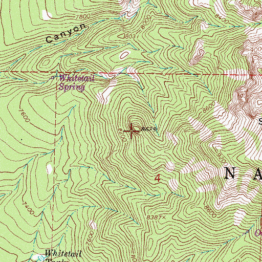Topographic Map of Biscuit Knob, NM