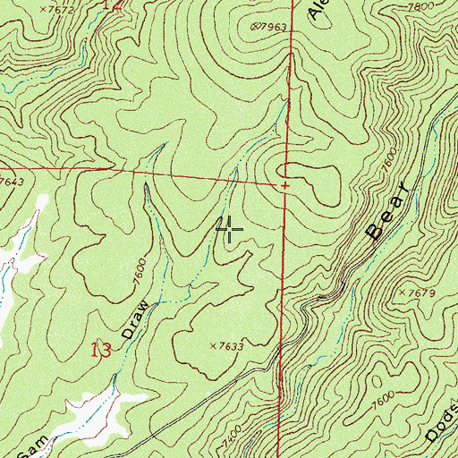 Topographic Map of Bear Trap Corral, NM