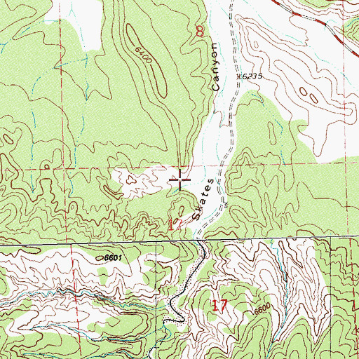 Topographic Map of Lower Skates Corral, NM