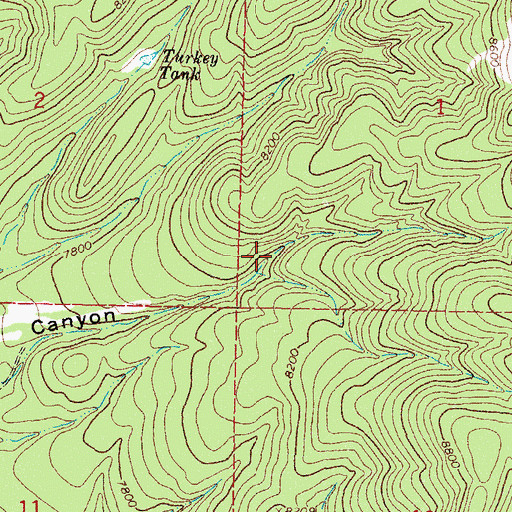 Topographic Map of Bear Canyon Spring, NM