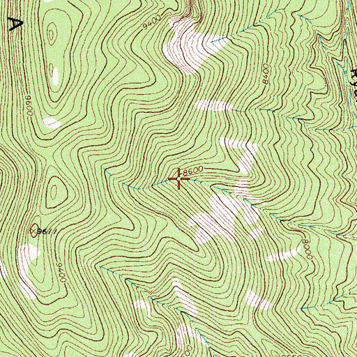 Topographic Map of Rock Slide Spring, NM