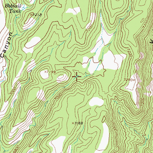Topographic Map of Elk Tank, NM