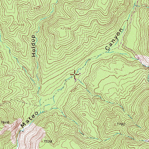 Topographic Map of Cooks Cabin, NM