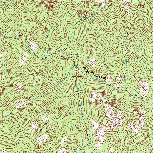 Topographic Map of Nave Canyon, NM