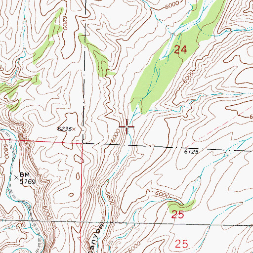 Topographic Map of Lower Windmill, NM