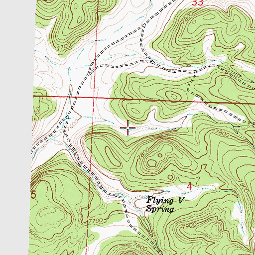 Topographic Map of Pine Spring, NM