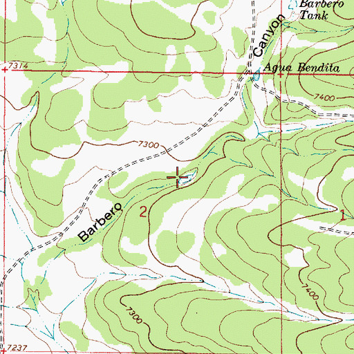 Topographic Map of Lost Tank, NM