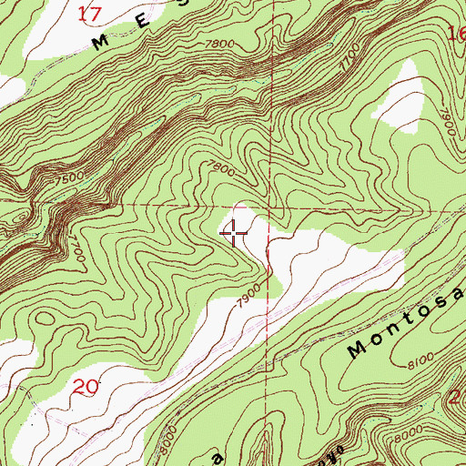 Topographic Map of Trick Tank Number Six, NM